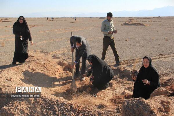 آغاز کاشت نهال تاغ در منطقه ۳۵۰۰ هکتاری غرب ابرکوه