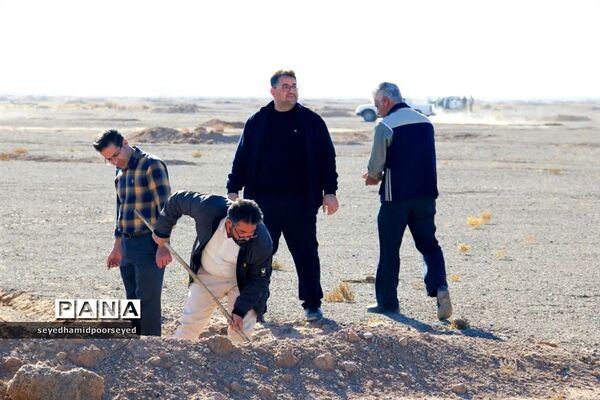 آغاز کاشت نهال تاغ در منطقه ۳۵۰۰ هکتاری غرب ابرکوه