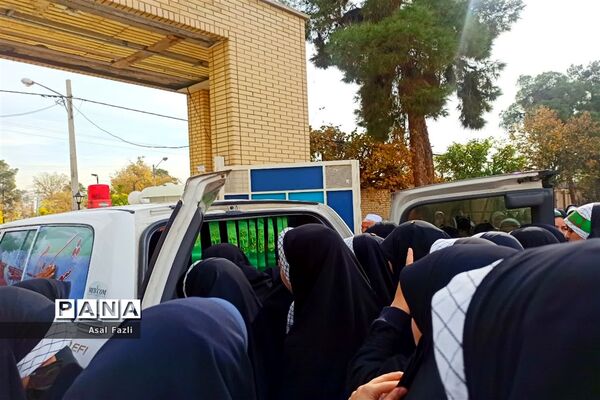 بازگشت پرستوهای عاشق به وطن
