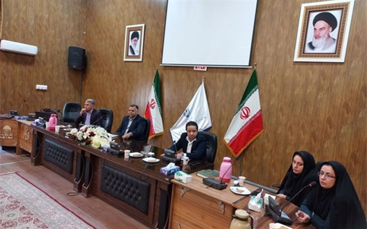 مشکل نیروی انسانی در مشاوره باید به صورت ریشه ای حل شود