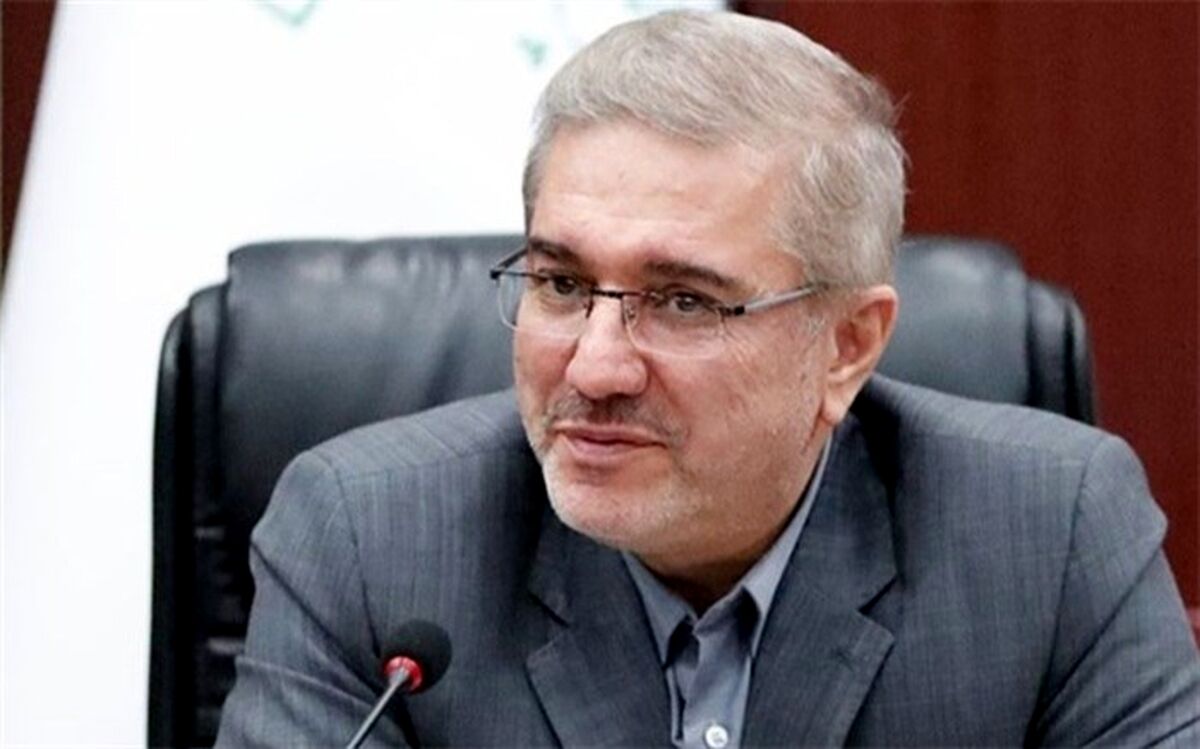 دولت برنامه‌ای برای افزایش قیمت انرژی ندارد