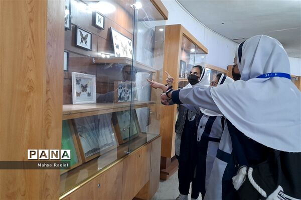 بازدید دانش‌آموزان مدرسه ظریف‌کارفرد از موزه تاریخ طبیعی