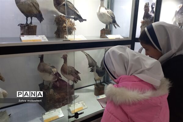 بازدید دانش‌آموزان مدرسه ظریف‌کارفرد از موزه تاریخ طبیعی