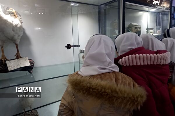 بازدید دانش‌آموزان مدرسه ظریف‌کارفرد از موزه تاریخ طبیعی