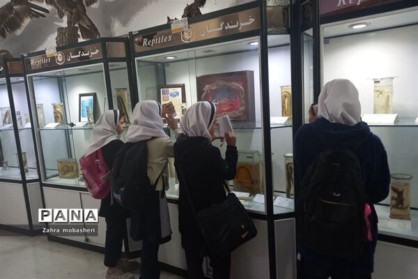 بازدید دانش‌آموزان مدرسه ظریف‌کارفرد از موزه تاریخ طبیعی