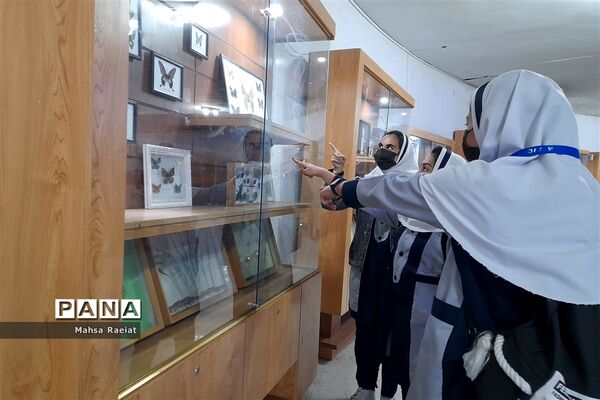 بازدید دانش‌آموزان مدرسه ظریف‌کارفرد از موزه تاریخ طبیعی