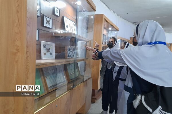 بازدید دانش‌آموزان مدرسه ظریف‌کارفرد از موزه تاریخ طبیعی
