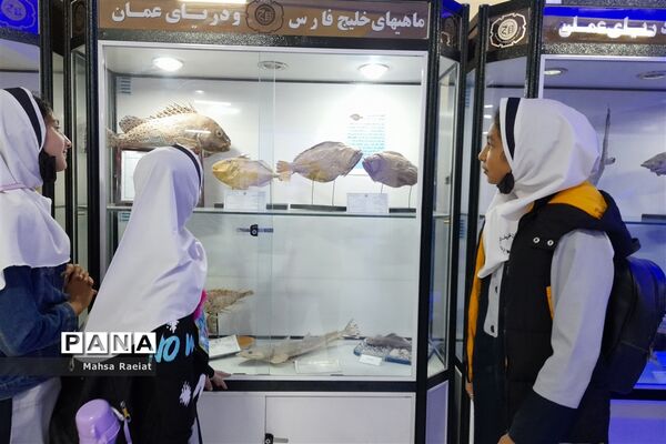 بازدید دانش‌آموزان مدرسه ظریف‌کارفرد از موزه تاریخ طبیعی