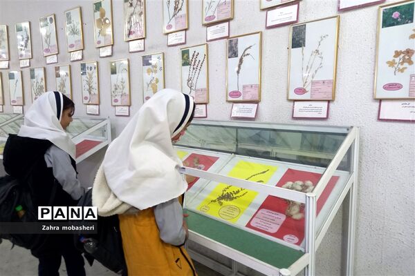 بازدید دانش‌آموزان مدرسه ظریف‌کارفرد از موزه تاریخ طبیعی
