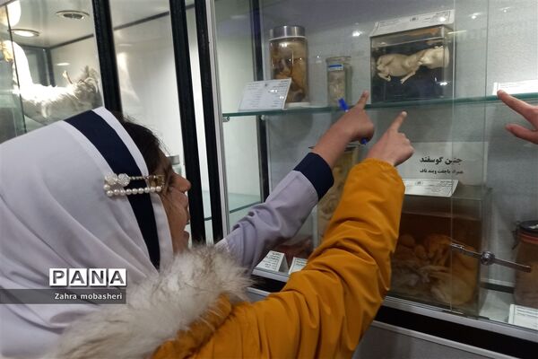 بازدید دانش‌آموزان مدرسه ظریف‌کارفرد از موزه تاریخ طبیعی