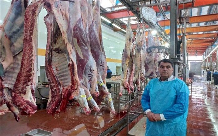 عرضه ۱۹۲ هزار تن گوشت انواع طیور در کشتارگاه‌های رسمی کشور در آبان ۱۴۰۲