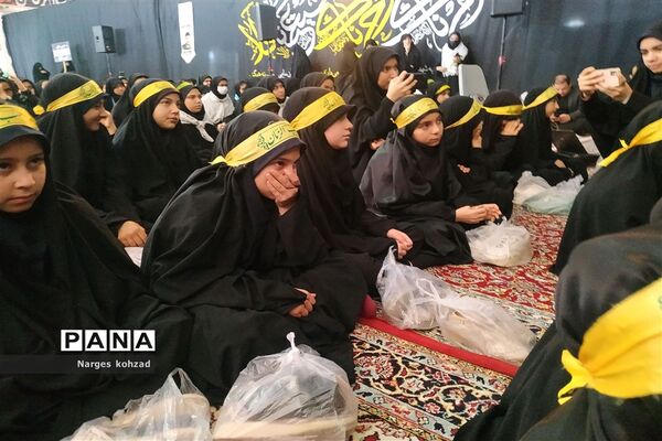 برگزاری همایش دختران فاطمی در آرامگاه سید حمزه (ع) شهرستان کاشمر