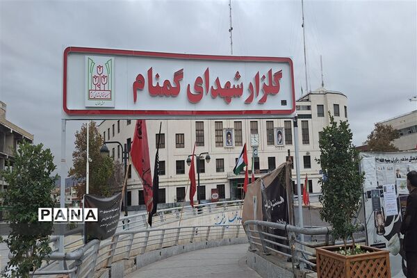 عزاداری یاس کبود در کنار یوسف‌های گمشده شهر بهشت
