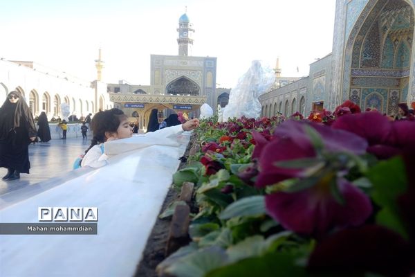 حال و هوای حرم امام رضا (ع) در روز شهادت حضرت زهرا (س)