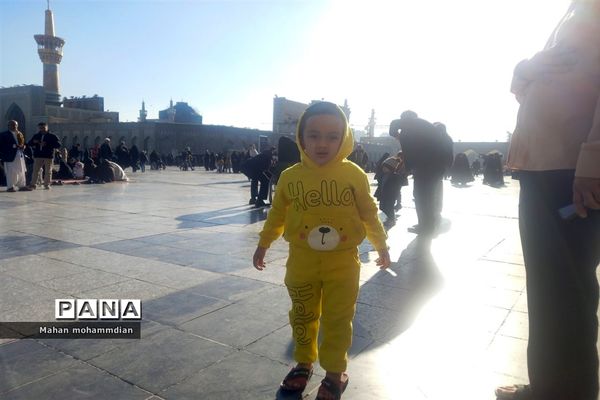 حال و هوای حرم امام رضا (ع) در روز شهادت حضرت زهرا (س)