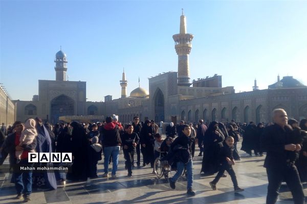 حال و هوای حرم امام رضا (ع) در روز شهادت حضرت زهرا (س)