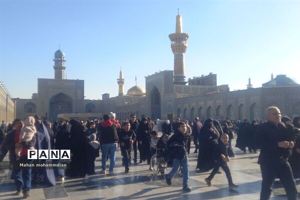 حال و هوای حرم امام رضا (ع) در روز شهادت حضرت زهرا (س)