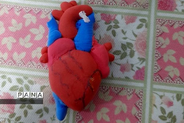 نمایشگاه زیست شناسی در مدرسه مریم عذرا دماوند