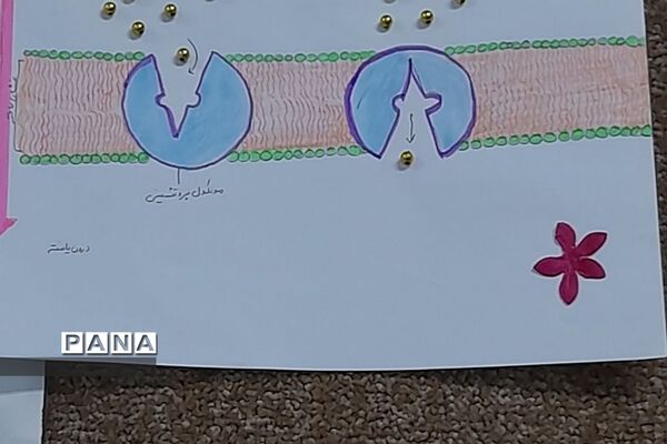 نمایشگاه زیست شناسی در مدرسه مریم عذرا دماوند