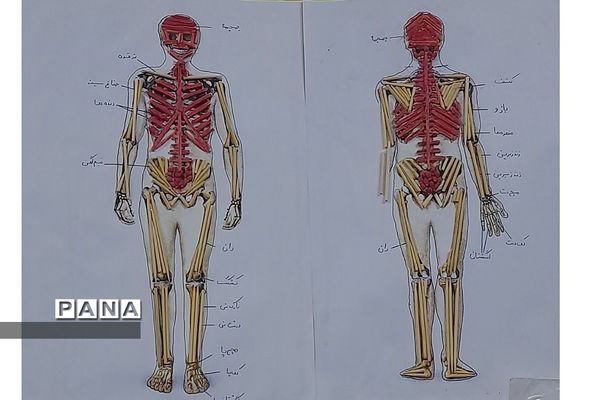 نمایشگاه زیست شناسی در مدرسه مریم عذرا دماوند
