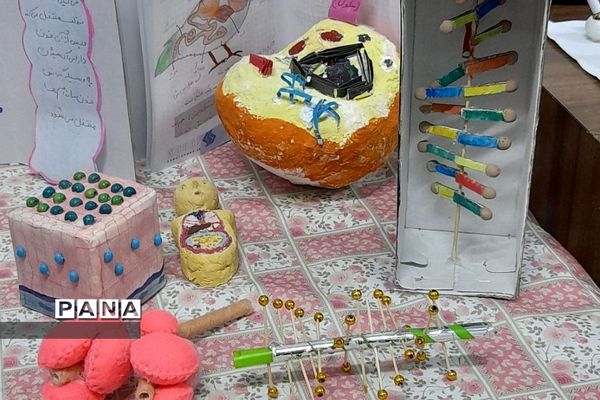 نمایشگاه زیست شناسی در مدرسه مریم عذرا دماوند