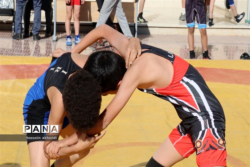 117 میلیارد تومان گردش مالی در دایره طلای لیگ‌های کشتی