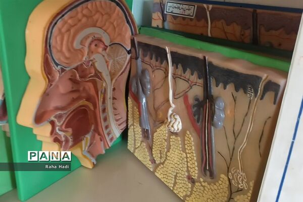 افتتاح آزمایشگاه مرکزی در مداری شهر سورمق