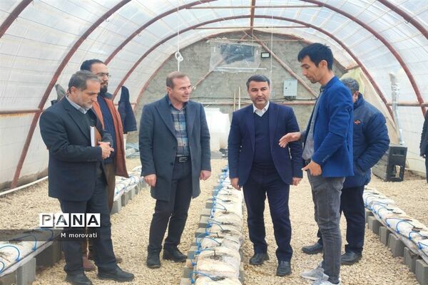 بازدید از کاشت قارچ و  گلخانه کاشت و پرورش خیار در هنرستان کشاورزی هاشمی نژاد شهر آشخانه