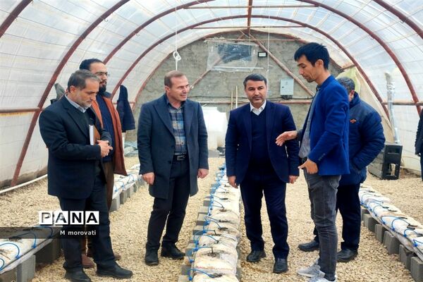 بازدید از کاشت قارچ و  گلخانه کاشت و پرورش خیار در هنرستان کشاورزی هاشمی نژاد شهر آشخانه