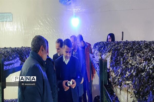 بازدید از کاشت قارچ و  گلخانه کاشت و پرورش خیار در هنرستان کشاورزی هاشمی نژاد شهر آشخانه