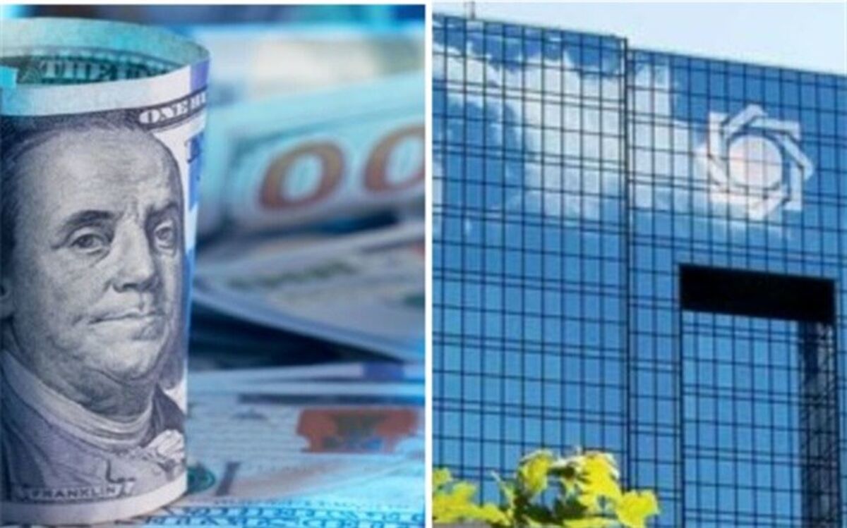 بانک مرکزی با سیاستگذاری قیمت ارز را کنترل می‌کند