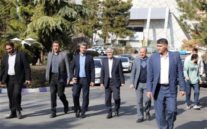 هاشمی از ملی‌پوشان و مربیان تکواندو تجلیل کرد