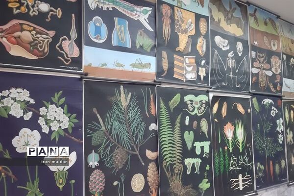 بازدید علمی دانش آموزان دبستان لطیفه از پژوهش سرای رازی ناحیه ۷