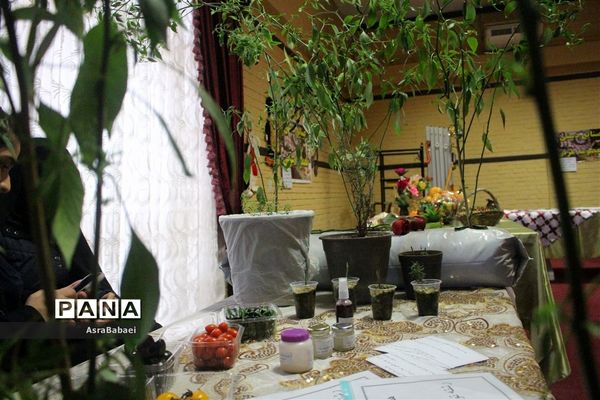 نمایشگاه دستاوردهای هنرستان های دخترانه