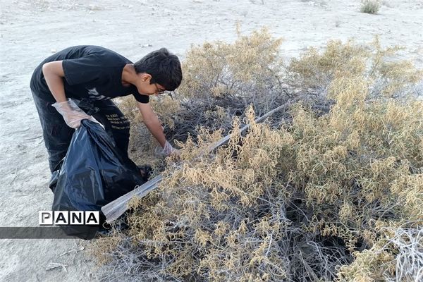 پاکسازی طبیعت رویدر