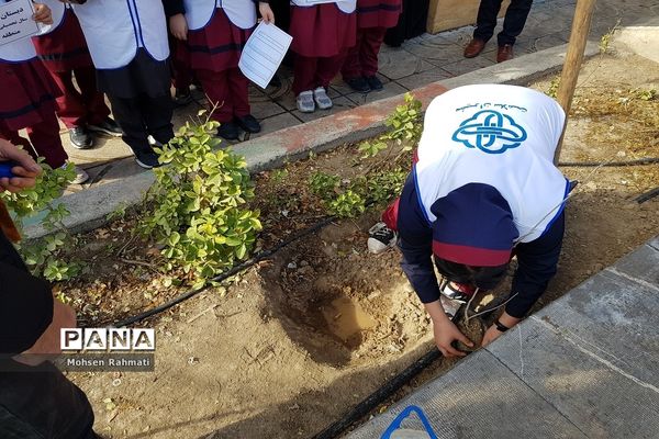 پویش ملی کاشت یک میلیارد درخت در مدارس شهریار