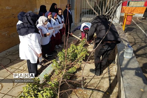 پویش ملی کاشت یک میلیارد درخت در مدارس شهریار