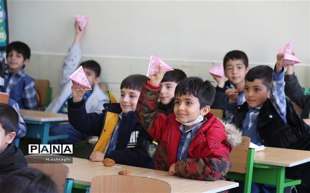 توزیع شیر رایگان به مدارس ابتدایی چهارمحال و بختیاری هم رسید