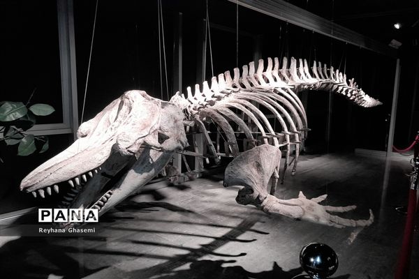 اردوی راهیان پیشرفت دانش‌آموزان دبیرستان فرزانگان استعداد درخشان ملارد به پارک علم و فناوری پردیس