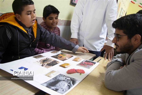 جشنواره شاد