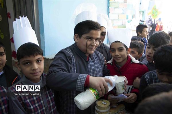 جشنواره شاد