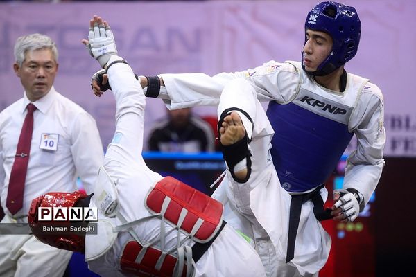 سی و سومین دوره مسابقات بین المللی تکواندو جام فجر