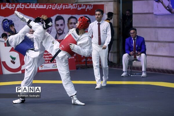 سی و سومین دوره مسابقات بین المللی تکواندو جام فجر