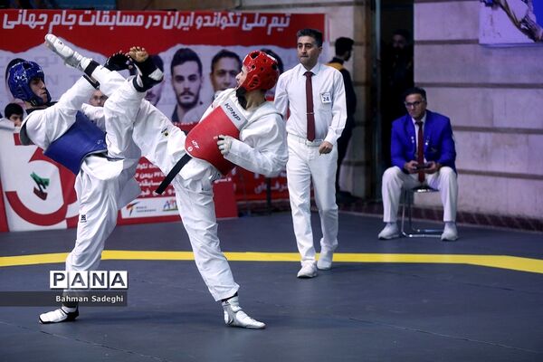 سی و سومین دوره مسابقات بین المللی تکواندو جام فجر