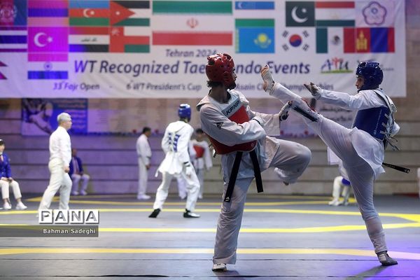 سی و سومین دوره مسابقات بین المللی تکواندو جام فجر