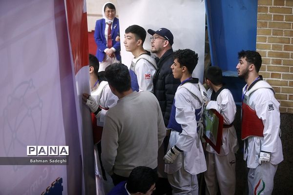 سی و سومین دوره مسابقات بین المللی تکواندو جام فجر