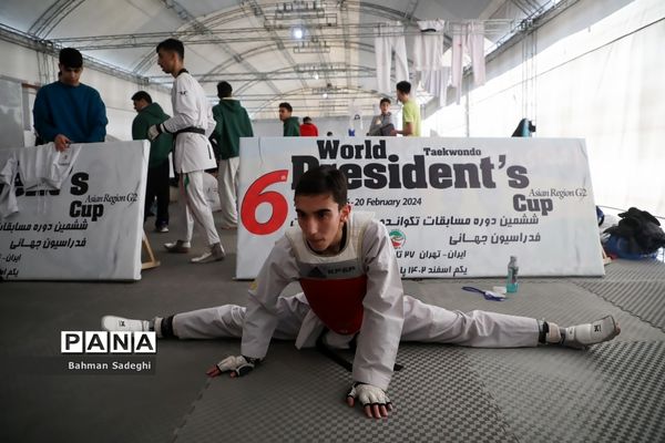 سی و سومین دوره مسابقات بین المللی تکواندو جام فجر