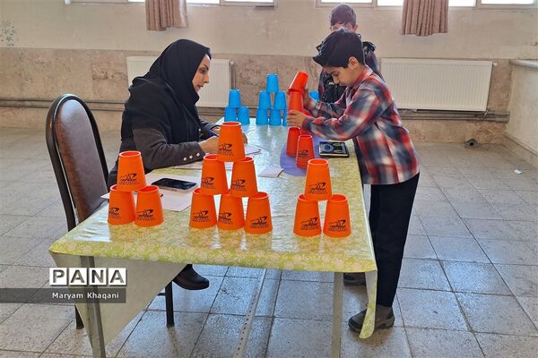 المپیاد بازی‌های فکری رویش دانش‌آموزان پسر دبستانی ناحیه 3 شیراز