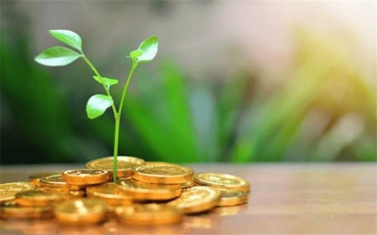 تامین مالی خارجی ۳۰ میلیارد یورو تعیین شد
