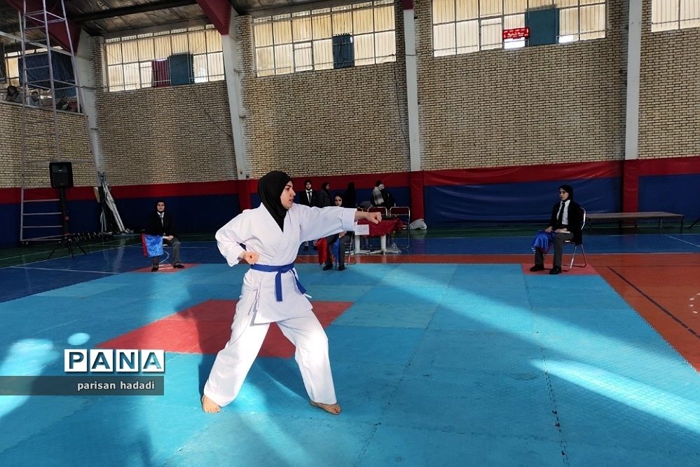 سال‌های ۲۰۰۶ و۲۰۰۷ اوج کاراته در آموزش و پرورش بود
